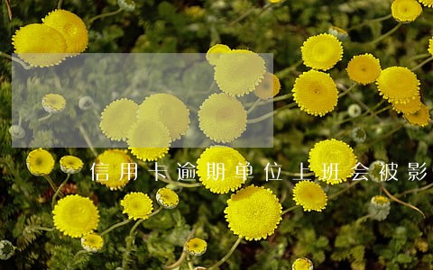 信用卡逾期单位上班会被影响