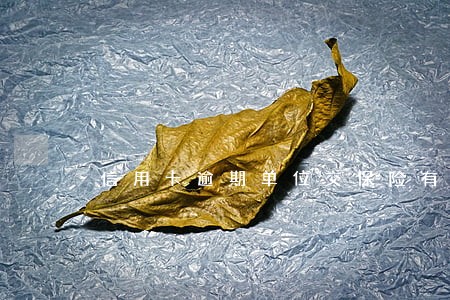 信用卡逾期单位交保险有影响吗 信用卡逾期单位交保险有影响吗