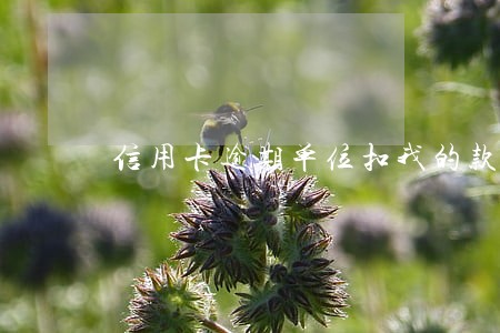 信用卡逾期单位扣我的款 信用卡逾期单位扣我的款
