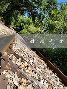 信用卡逾期单位电话忘记了打 信用卡逾期单位电话忘记了打