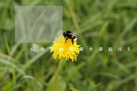 信用卡逾期单卡没超过5万