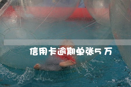 信用卡逾期单张5万 信用卡逾期单张5万