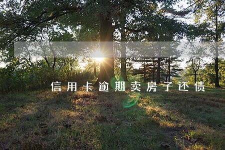 信用卡逾期卖房子还债 信用卡逾期卖房子还债