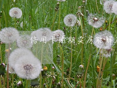 信用卡逾期卖房能解压吗 信用卡逾期卖房能解压吗