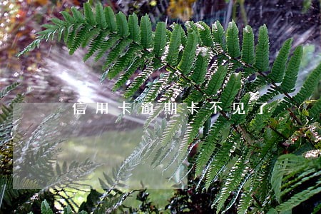 信用卡逾期卡不见了 信用卡逾期卡不见了