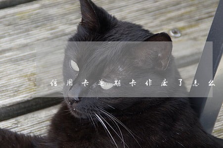 信用卡逾期卡作废了怎么办 信用卡逾期卡作废了怎么办