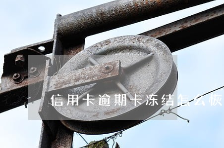 信用卡逾期卡冻结怎么恢复
