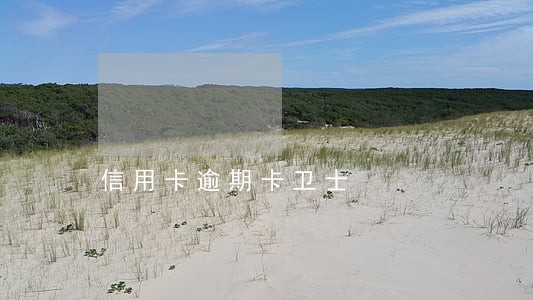 信用卡逾期卡卫士 信用卡逾期卡卫士