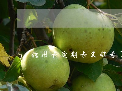 信用卡逾期卡又销号了怎么办 信用卡逾期卡又销号了怎么办