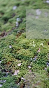 信用卡逾期卡可以销户吗 信用卡逾期卡可以销户吗