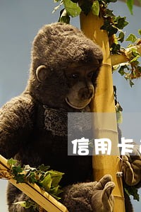 信用卡逾期卡已失效 信用卡逾期卡已失效