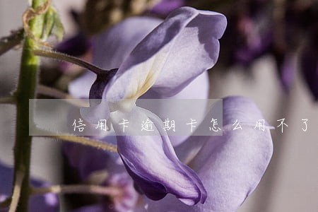 信用卡逾期卡怎么用不了 信用卡逾期卡怎么用不了