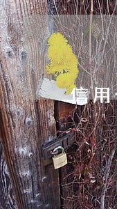 信用卡逾期卡没停 信用卡逾期卡没停