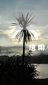 信用卡逾期卡注销了 信用卡逾期卡注销了