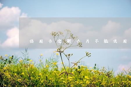 信用卡逾期卡片不能使用