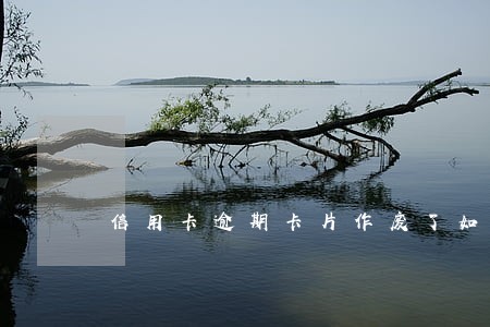 信用卡逾期卡片作废了如何还款 信用卡逾期卡片作废了如何还款