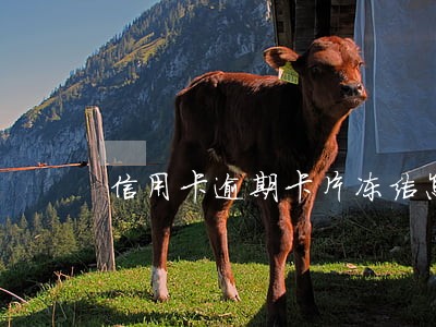 信用卡逾期卡片冻结怎么还款 信用卡逾期卡片冻结怎么还款