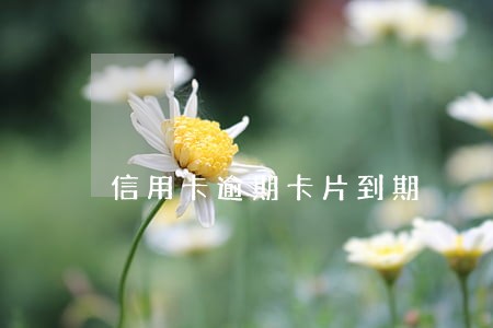信用卡逾期卡片到期