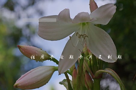 信用卡逾期卡片又到期 信用卡逾期卡片又到期