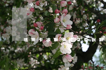 信用卡逾期卡片又要到期怎么办 信用卡逾期卡片又要到期怎么办