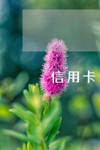 信用卡逾期卡片变成灰色 信用卡逾期卡片变成灰色