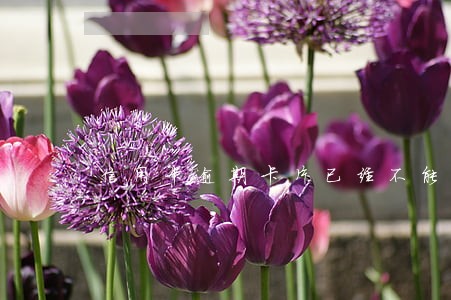 信用卡逾期卡片已经不能还款进去