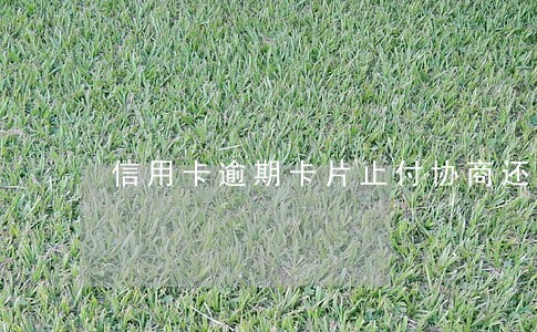 信用卡逾期卡片止付协商还款 信用卡逾期卡片止付协商还款