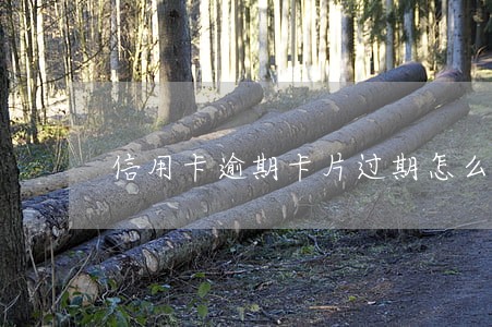 信用卡逾期卡片过期怎么还 信用卡逾期卡片过期怎么还