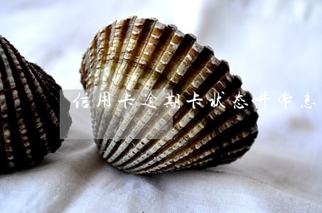 信用卡逾期卡状态异常怎么还款