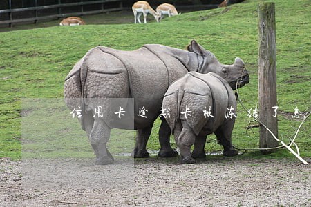 信用卡逾期卡被冻结了怎么办上海
