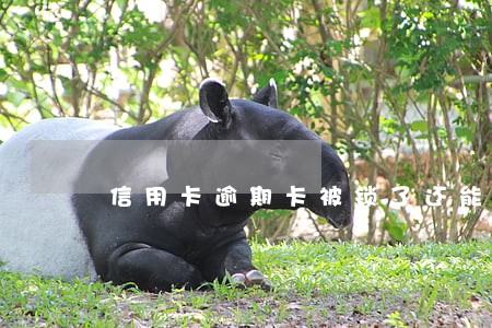 信用卡逾期卡被锁了还能还最低