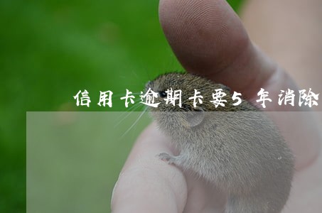 信用卡逾期卡要5年消除吗 信用卡逾期卡要5年消除吗