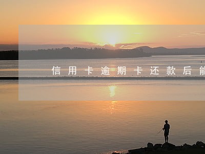 信用卡逾期卡还款后能解卡吗 信用卡逾期卡还款后能解卡吗
