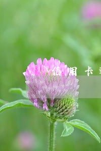 信用卡逾期即将冻结