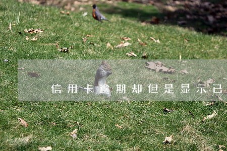 信用卡逾期却但是显示已还清