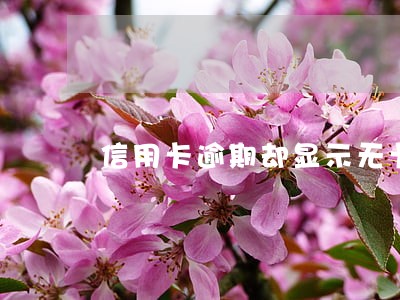 信用卡逾期却显示无卡 信用卡逾期却显示无卡