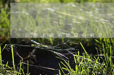 信用卡逾期却没有利息 信用卡逾期却没有利息
