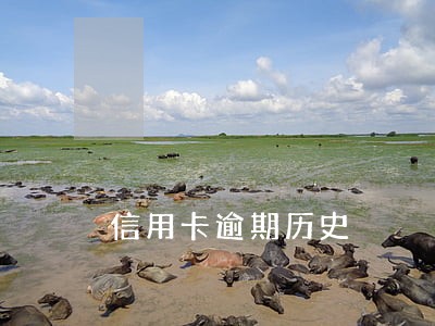 信用卡逾期历史 信用卡逾期历史