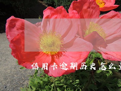 信用卡逾期历史怎么查询 信用卡逾期历史怎么查询