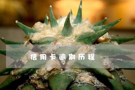 信用卡逾期历程 信用卡逾期历程