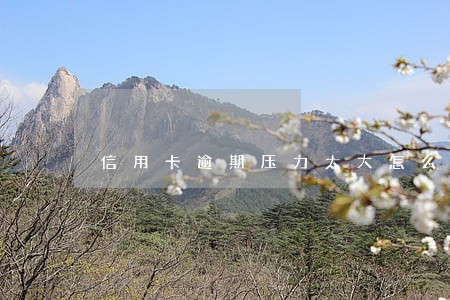 信用卡逾期压力太大怎么办