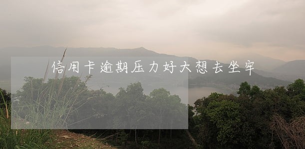 信用卡逾期压力好大想去坐牢 信用卡逾期压力好大想去坐牢