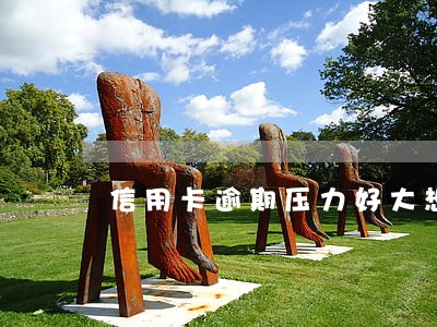 信用卡逾期压力好大想去自首