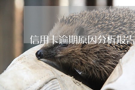 信用卡逾期原因分析报告