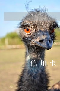 信用卡逾期原因情况说明 信用卡逾期原因情况说明