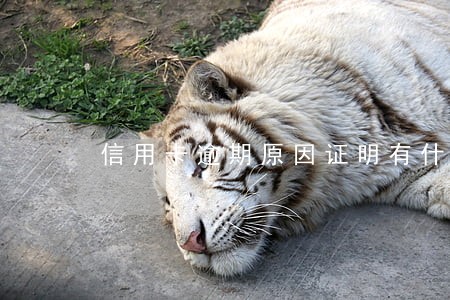 信用卡逾期原因证明有什么作用 信用卡逾期原因证明有什么作用