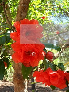 信用卡逾期厦门的多么 信用卡逾期厦门的多么