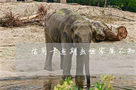 信用卡逾期去世家属不知情 信用卡逾期去世家属不知情