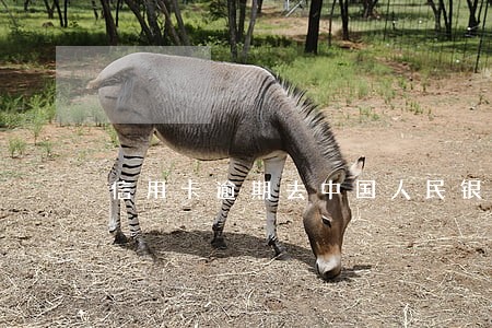 信用卡逾期去中国人民银行 信用卡逾期去中国人民银行