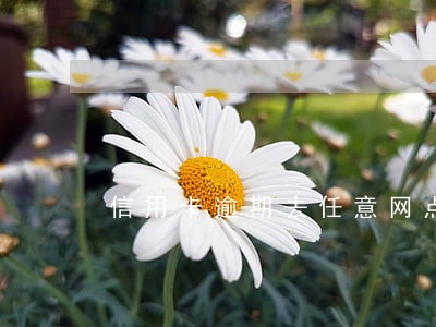 信用卡逾期去任意网点都可以 信用卡逾期去任意网点都可以